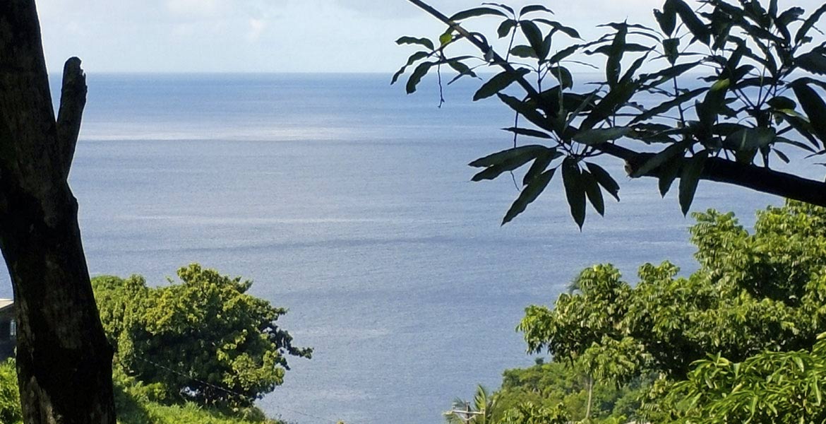 Cottage Mango - a myTobago guide to Tobago holiday accommodation